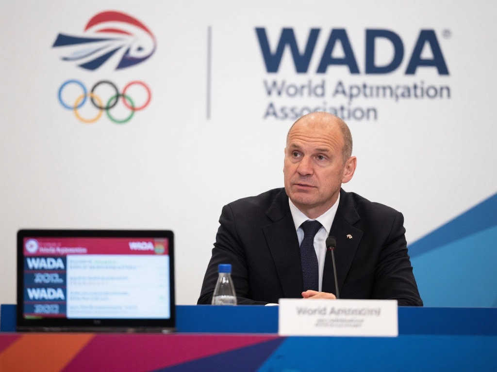 能继续关注 能继续关注